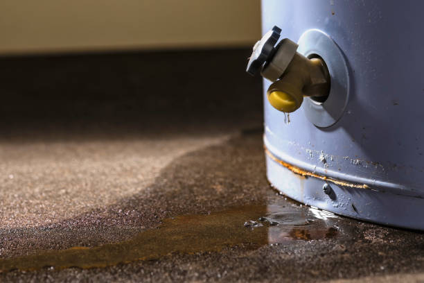 Best Ceiling water damage repair  in Bowling Green, OH