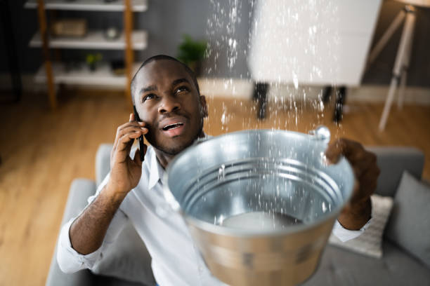 Carpet water damage restoration in Bowling Green, OH