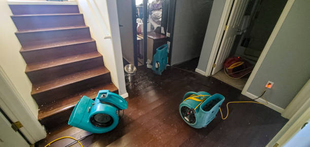 Water damage restoration mold remediation in Bowling Green, OH