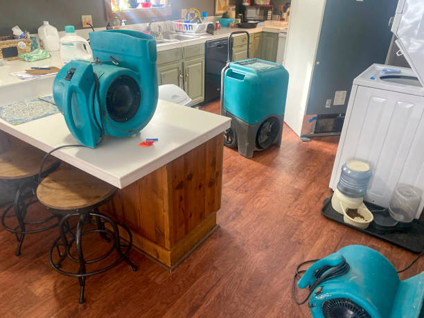 Best Water damage restoration process  in Bowling Green, OH