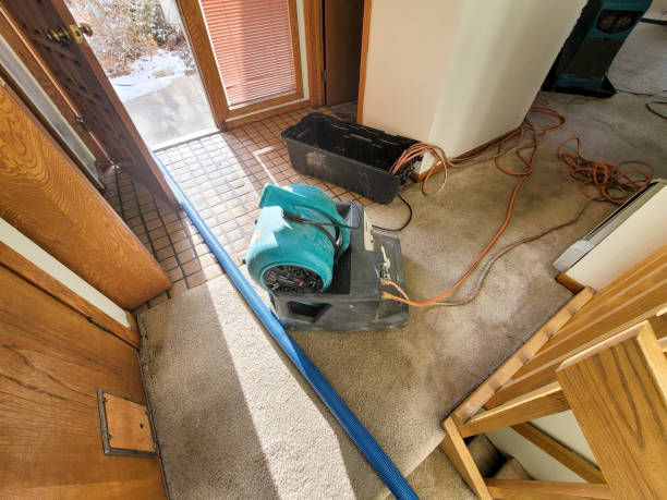 Best 24-hour water damage restoration  in Bowling Green, OH