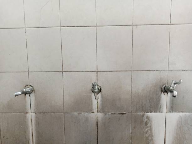 Water damage restoration mold remediation in Bowling Green, OH